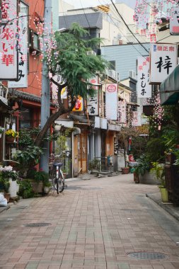 Traditional Street in Tokyo, Japan