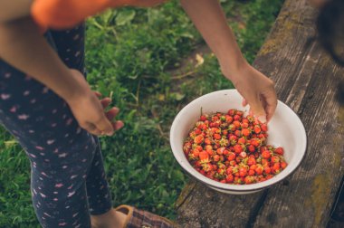 Girll's hands taking fresh strawberries to eat, from tureen on old bench. Country vacances on open air