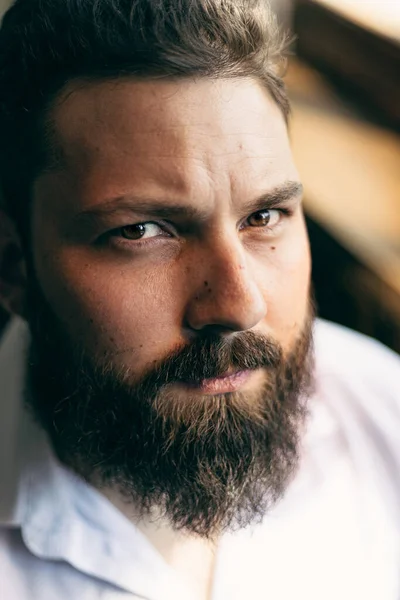 Portrait Attractive Young Man Beard — Fotografia de Stock