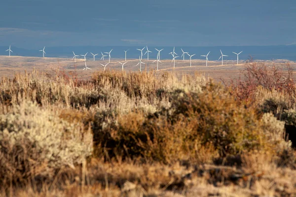 Wind Farm Western Wyoming — Stock Photo, Image