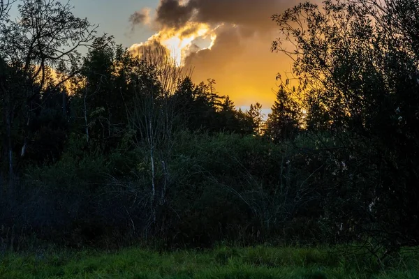 Parkta Alacakaranlıkta Renkli Bir Bulutun Üzerinde Gün Batımı — Stok fotoğraf