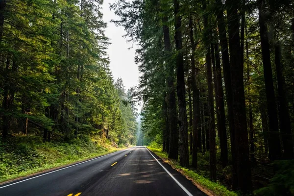 Road Trip Naar Het Beschermde Gebied Van Het Prachtige Park — Stockfoto