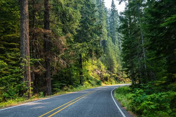 Road Trip Naar Het Beschermde Gebied Van Het Prachtige Park — Stockfoto