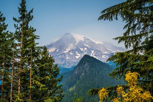 Epic Forest Landscape Scenery Walking Trail Park — Fotografia de Stock