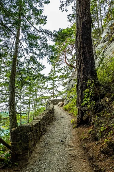 Vue Panoramique Sur Forêt Tout Prenant Sentier Parc Préservé — Photo
