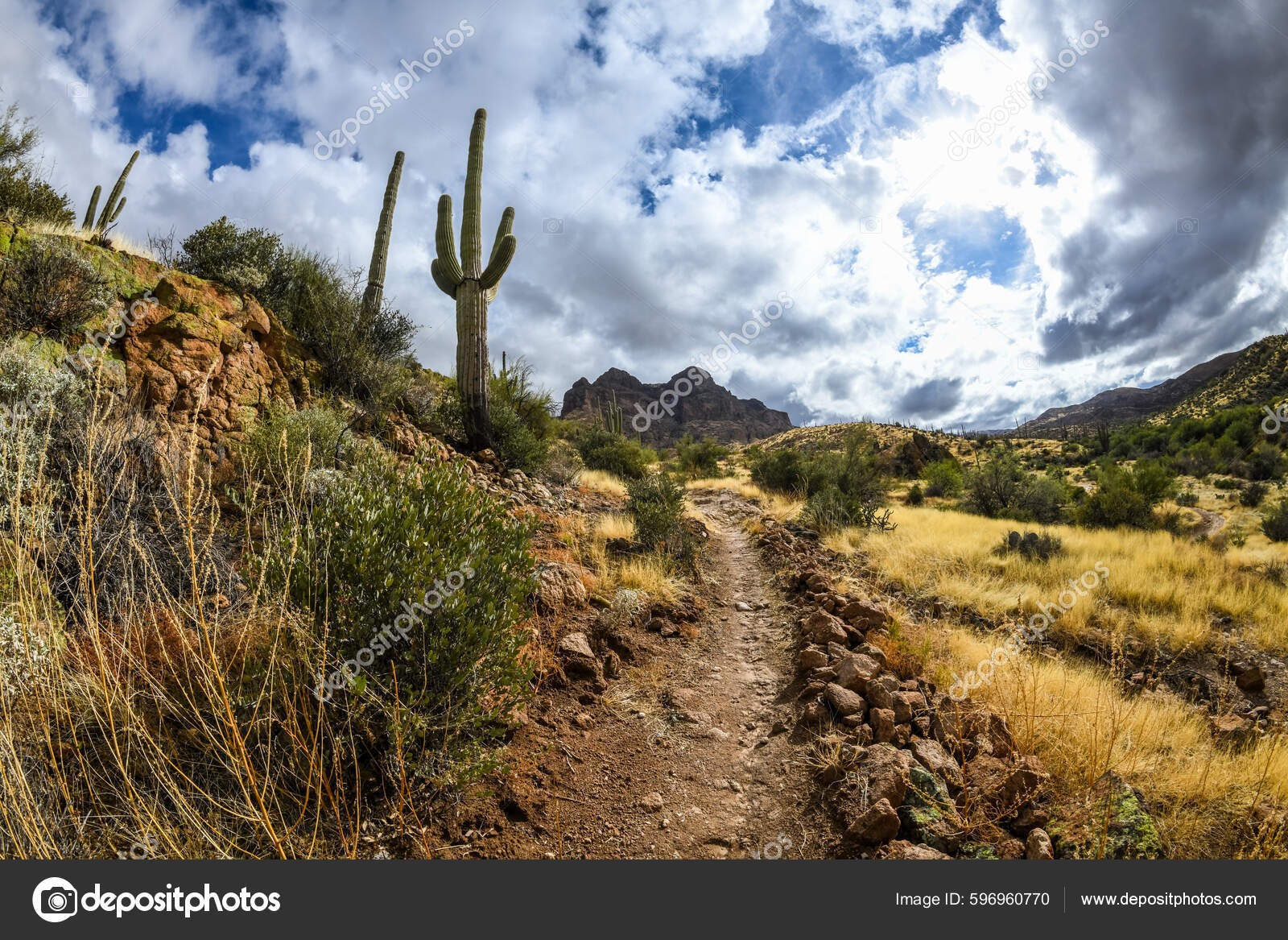 Epic Mountain Landscape Scenery Walking Trail Preserve Park