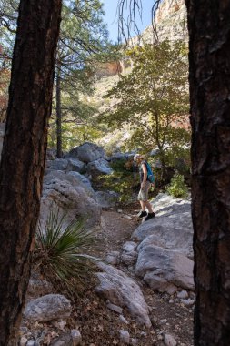 Woman hiker in Devil's Hall Trail in Guadalupe Mountains
