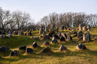 Viking graveyard of Lindholm Hoje (700-1.000 bc), near Aalborg, in north Jutland, Denmark
