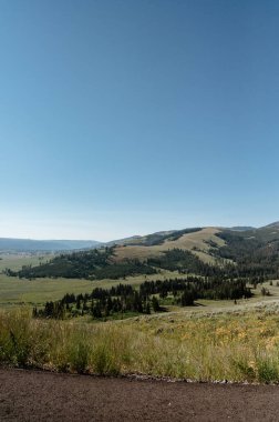 Grand Loop Scenery in Yellowstone National Park