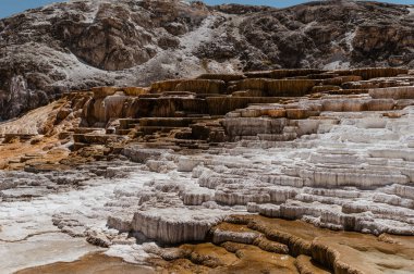 Minerva Terrace at Mammoth Hot Springs in Yellowstone National Park