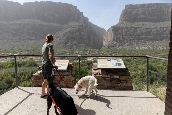 Young Woman Dogs Santa Elena Canyon Overlook Texas — Stock Photo, Image