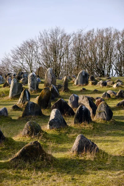 Viking Graveyard Lindholm Hoje 700 000 Aalborg North Jutland Denmark — Φωτογραφία Αρχείου