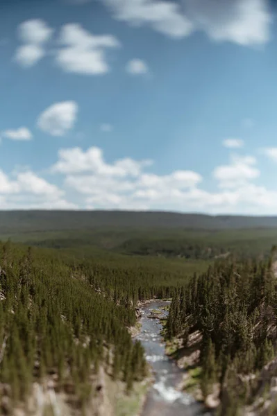 Gibbon Falls Yellowstone National Park — Stok fotoğraf