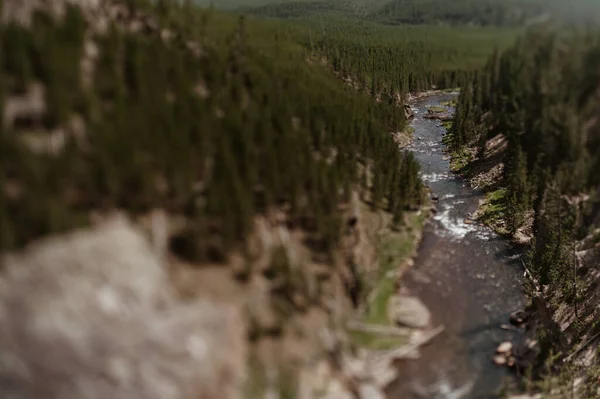 Gibbon Falls Yellowstone National Park — Fotografia de Stock