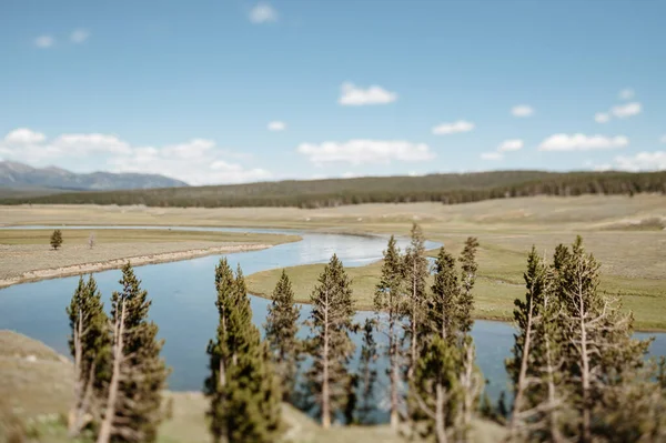 Yellowstone River Hayden Valley — Fotografia de Stock