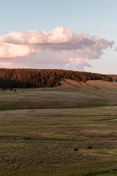 Hayden Valley Sunset Yellowstone National Park — Stock Photo, Image