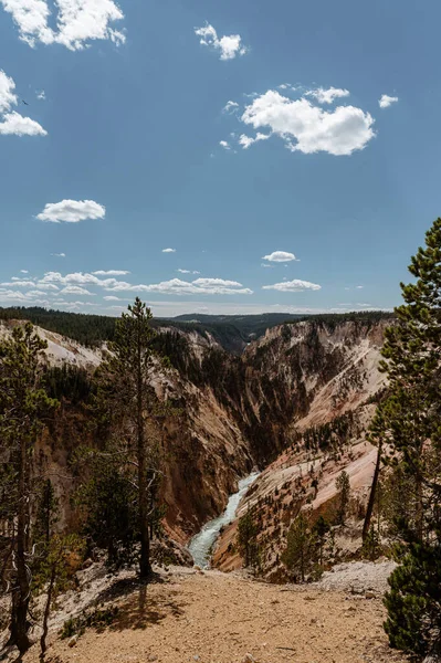 Grand Canyon Parque Nacional Yellowstone — Fotografia de Stock