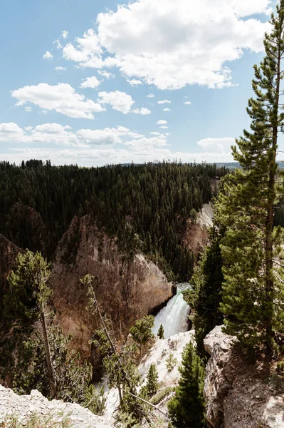 View Lower Falls Yellowstone National Park — Fotografia de Stock