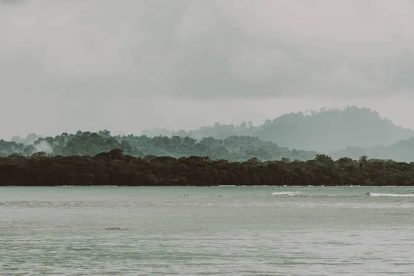 Jungle Landscape Sea Cloudy Day — Stok fotoğraf