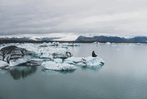 Woman Meditating Lake Iceberg — 스톡 사진