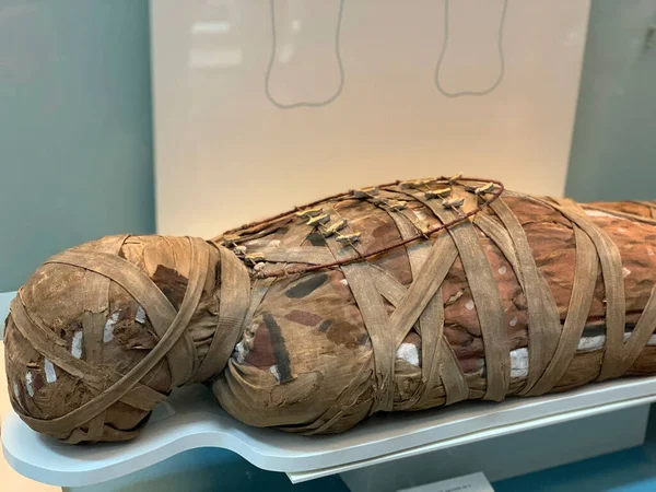 Mummy Amulets Frame British Museum — 스톡 사진