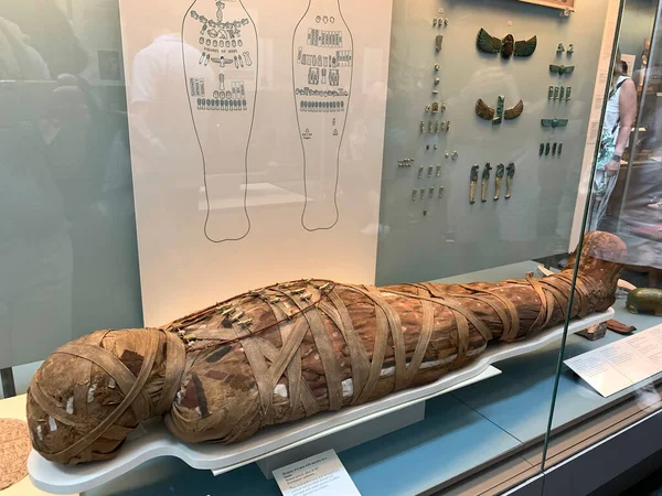 Mummy Man Amulets Frame British Museum — 스톡 사진