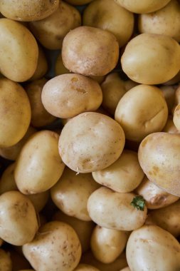 Organic potatoes put on a shelf for sale within a market
