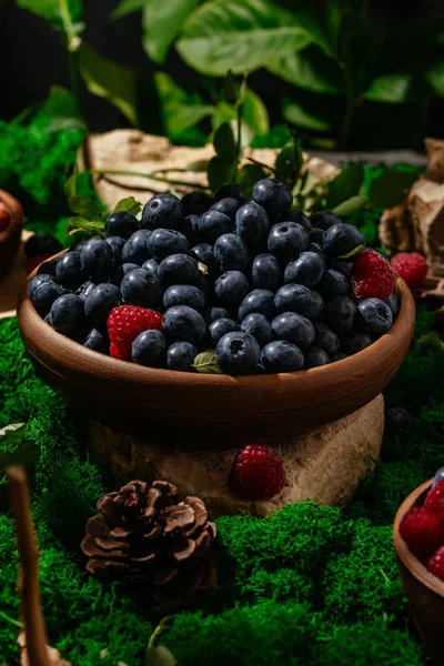 blueberries in a plate on a forest lawn