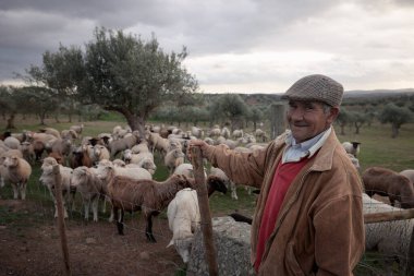 Koyun çobanı eski meslekler Portekiz
