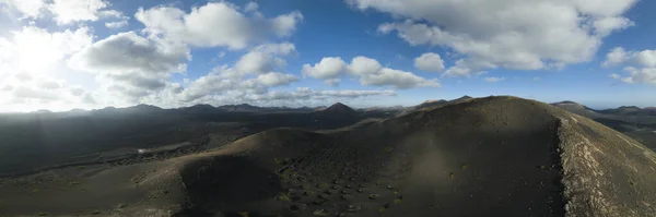 Black Volcano Aerial View Vineyards — 图库照片