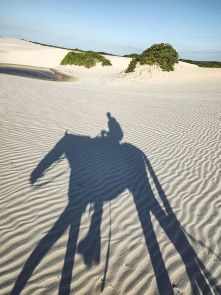 Вид Тень Человека Верхом Лошади Песчаным Дюнам — стоковое фото