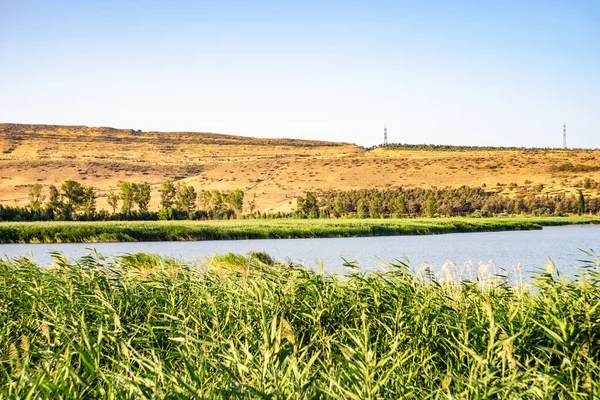 Recreation Area Tbilisi Georgia — Stok fotoğraf