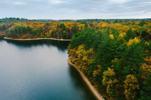 Drone Landscape Shot Coast Pond Forest Fall Foliage — Stockfoto