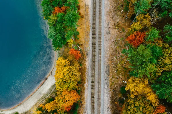 Railroad Tracks Fall Foliage Forest Lake Coast — Stockfoto