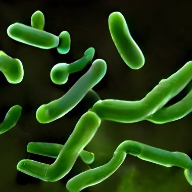 Scientific image of bacteria Citrobacter. 3D illustration.