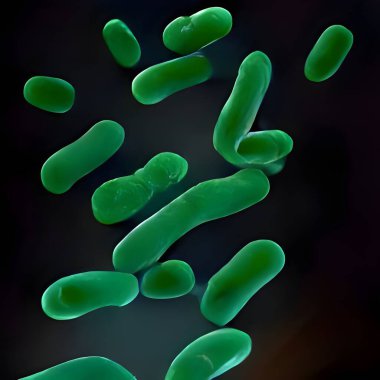 Legionella pneumophila - medical 3d illustration