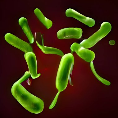 Escherichia Coli (E. Coli.) cells or bacteria under microscope