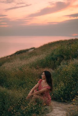 portrait of a girl in the summer at sunset on the grass
