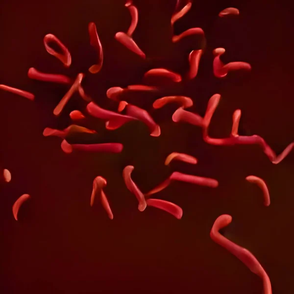 Scientific Image Bacteria Citrobacter Illustration — стоковое фото