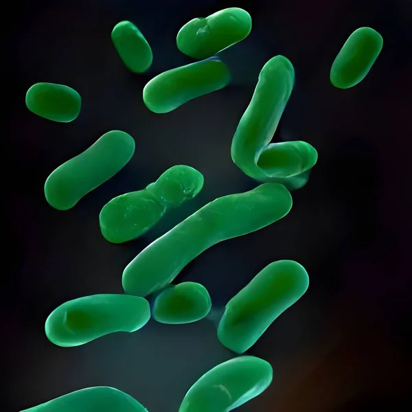 Legionella Pneumophila Medical Illustration — Photo