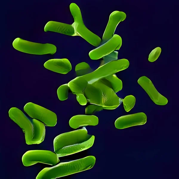 Escherichia Coli Coli Cells Bacteria Microscope — Stock Photo, Image