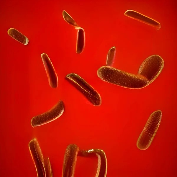 Escherichia Coli Coli Cells Bacteria Microscope — стоковое фото