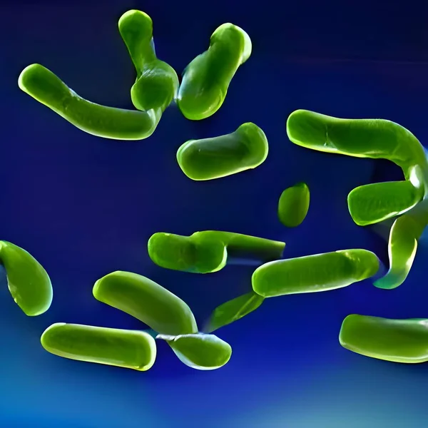 Bacteria Lactobacillus Illustration Lactic Acid Bacteria — Foto Stock