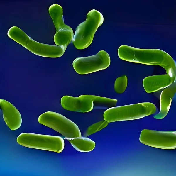 Bacteria Lactobacillus, 3D illustration. lactic acid bacteria.