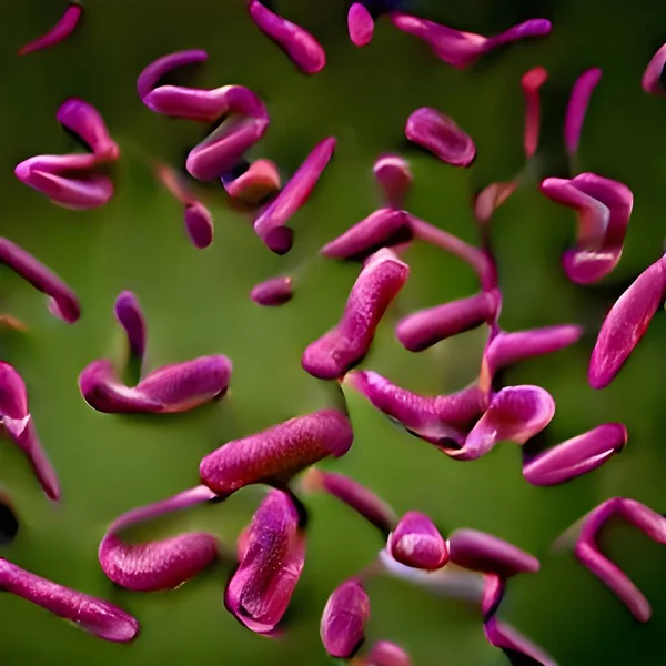 Biofilm Antibiotic Resistant Bacteria Closeup View — Stockfoto