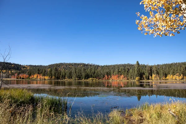 Fall Landscape View Duck Creek Lake Duck Creek Village Utah — Foto de Stock