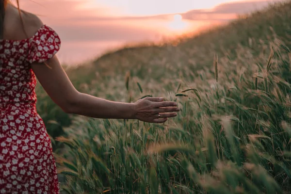 Жіночі Руки Торкаються Шипів Високої Трави Горах Заході Сонця — стокове фото