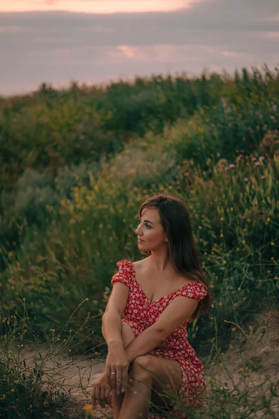 Портрет Дівчини Влітку Заході Сонця Траві — стокове фото