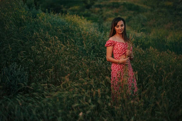 Portrait Young Woman Summer Tall Grass — 图库照片