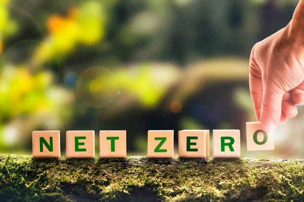 The concept of carbon neutral and net zero.